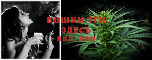 МДПВ Верея