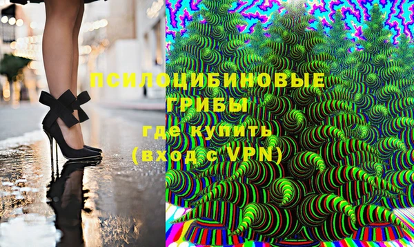 МДПВ Верея