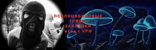 молекула духа Верхний Тагил
